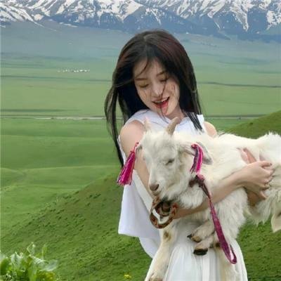 死蠢斗一番 3.5